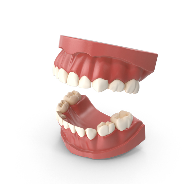 Dental Mold 3D, Incl. dentistry & dentist's office - Envato Elements