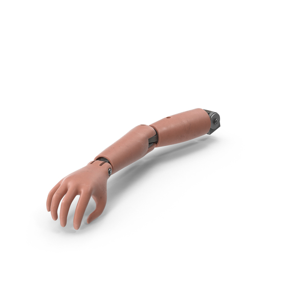 Hand Female Mannequin Black 3D, Incl. hand & dummy - Envato Elements