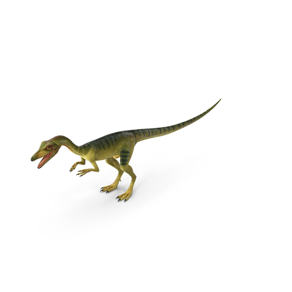Compsognathus Dinosaur Run Pose 3D, Incl. big & compsognathus