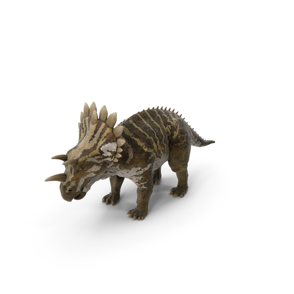 Dinosaur Ankylosaurus Run, Banco de Video - Envato Elements
