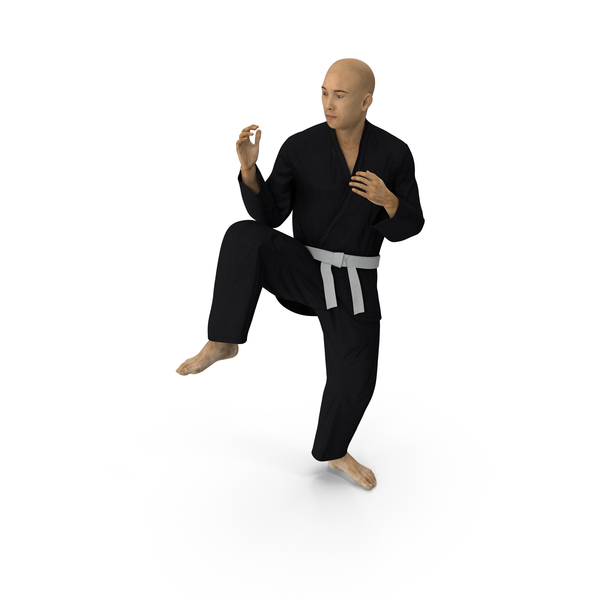 Premium Photo | Senior man in karate pose on white background