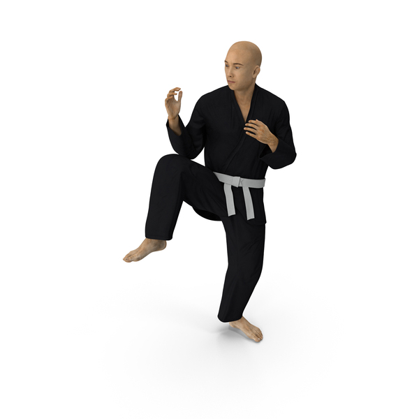 Page 9 | Karate Pose Images - Free Download on Freepik