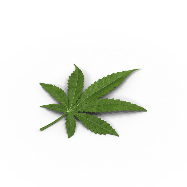 кисти для фотошопа марихуана
